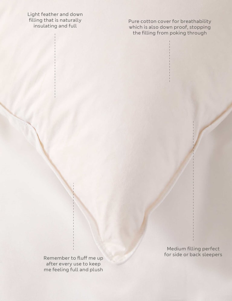 Feather king pillow hot sale