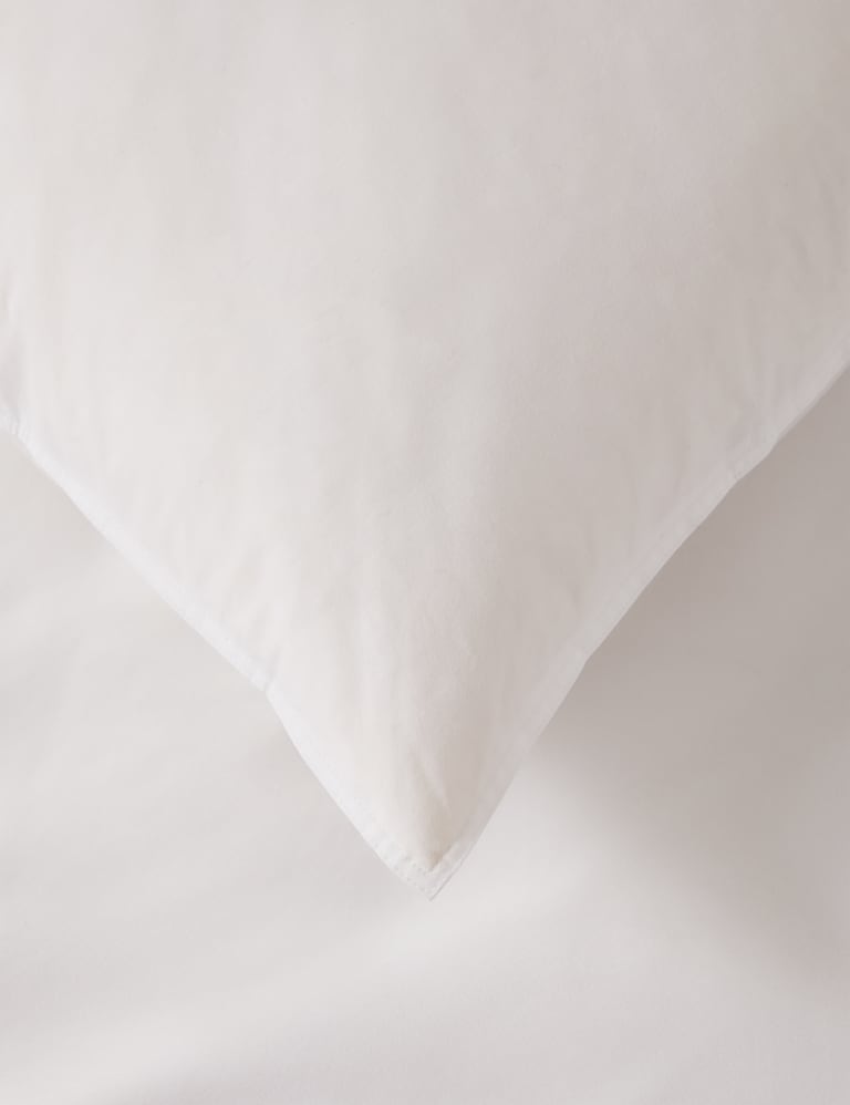 Marks and 2025 spencer pillows