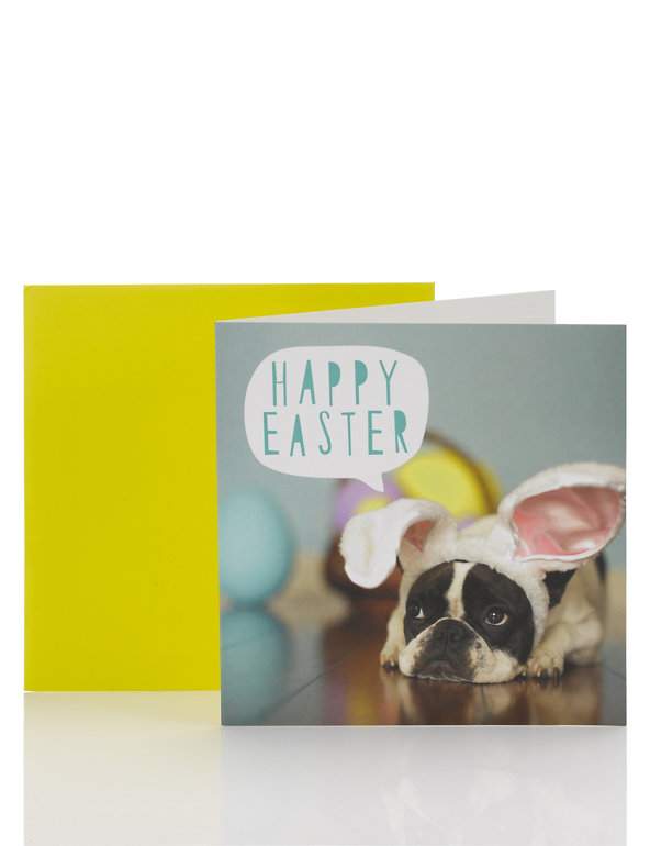 Easter Photo Dog In Bunny Ears Card Image 1 of 2