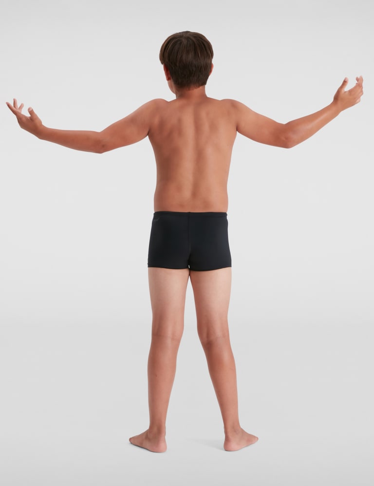 Speedo under 2025 board shorts