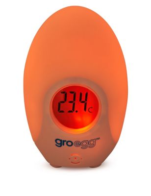 https://asset1.cxnmarksandspencer.com/is/image/mands/Egg--Room-Thermometer-2/HT_05_T96_4002G_ZZ_X_EC_1?$PDP_IMAGEGRID_1_LG$