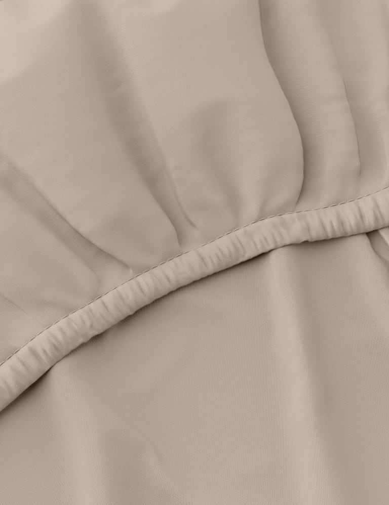 Egyptian Cotton 230 Thread Count Fitted Sheet 5 of 5
