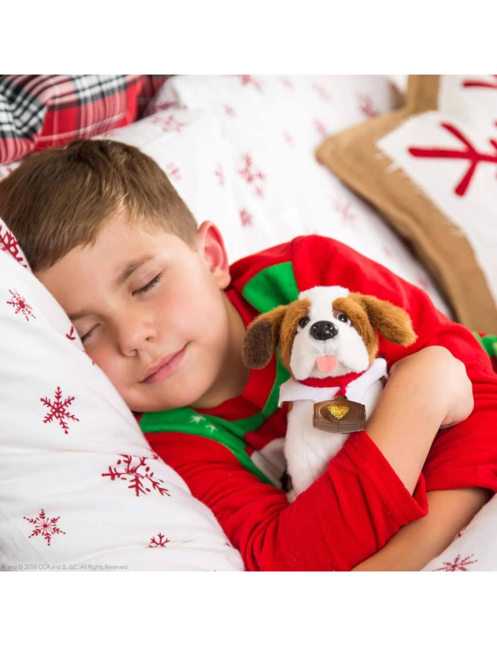 Elf on the shop shelf st bernard