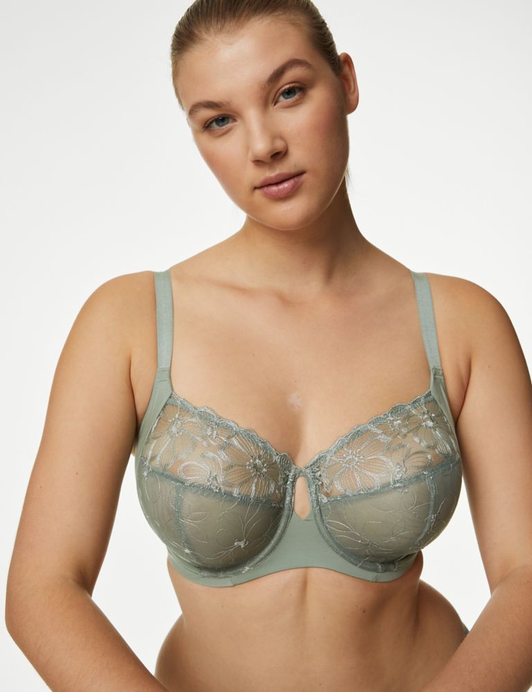 Embrace Wired Extra Support Bra F-J 1 of 6