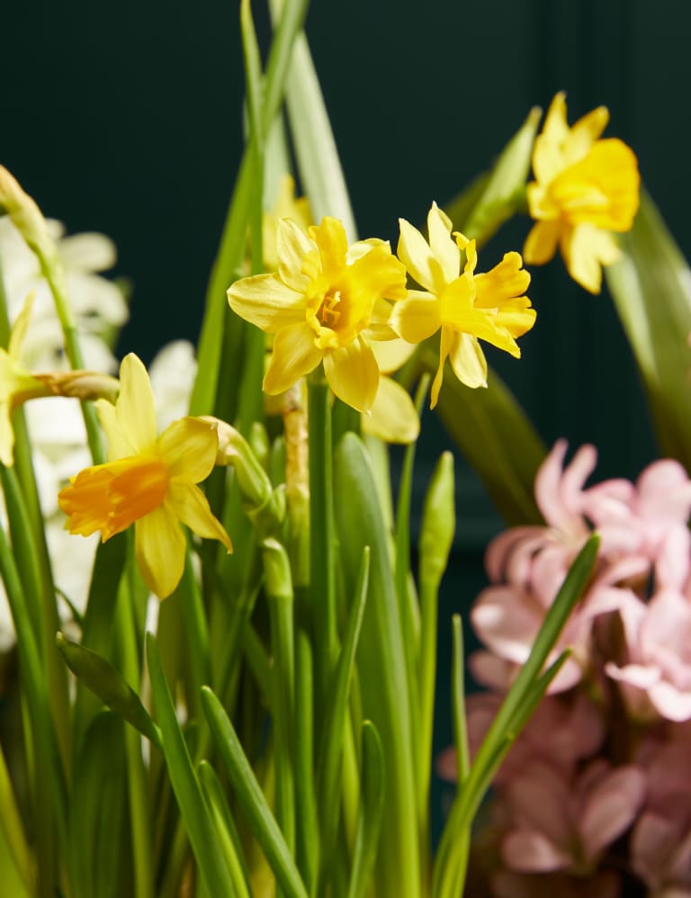 Emma's cornish flowers store
