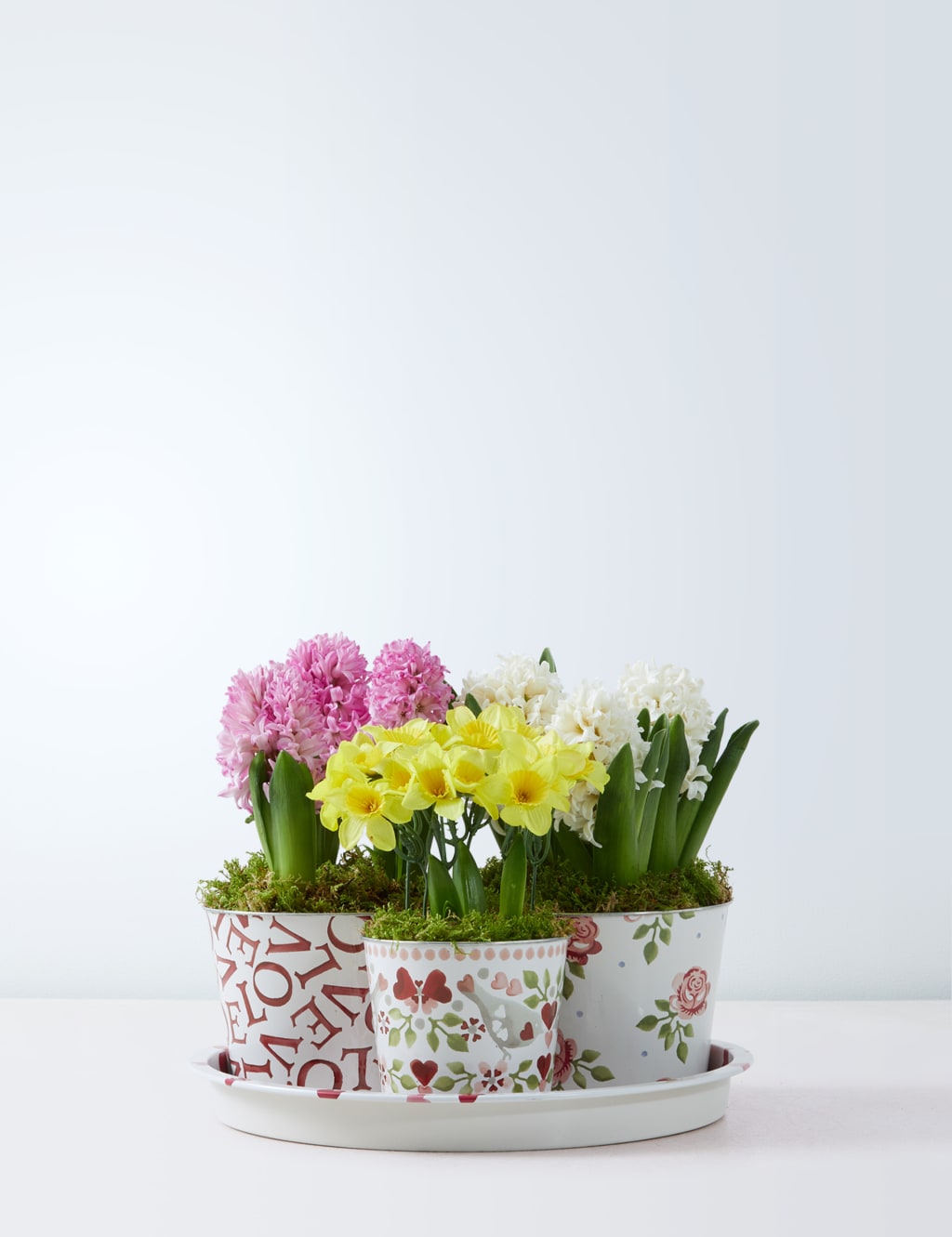 Emma Bridgewater Bulb Collection M&S