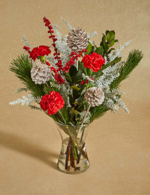 m and s xmas flowers