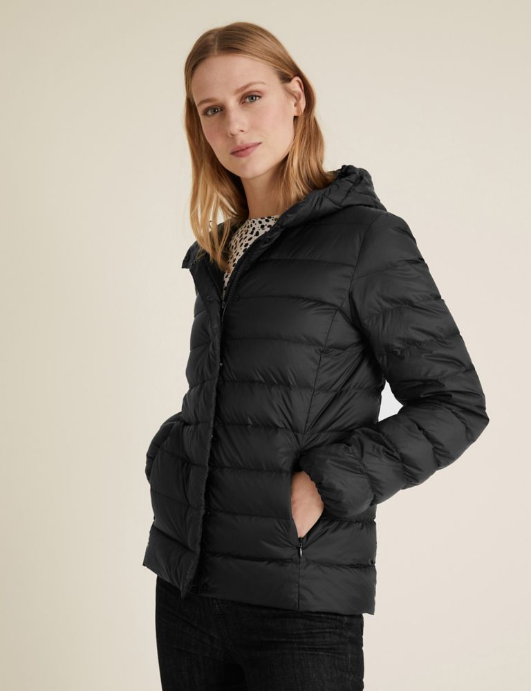 Feather & Down Hooded Short Puffer Jacket 1 of 7