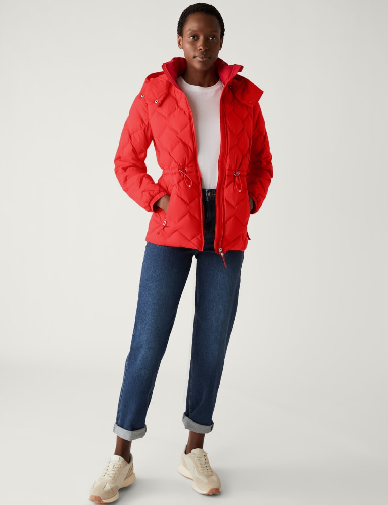Quilted hooded puffer jacket discount
