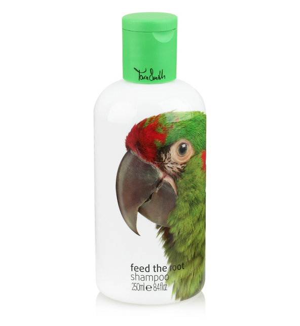 Feed the Root Shampoo 250ml Image 1 of 1