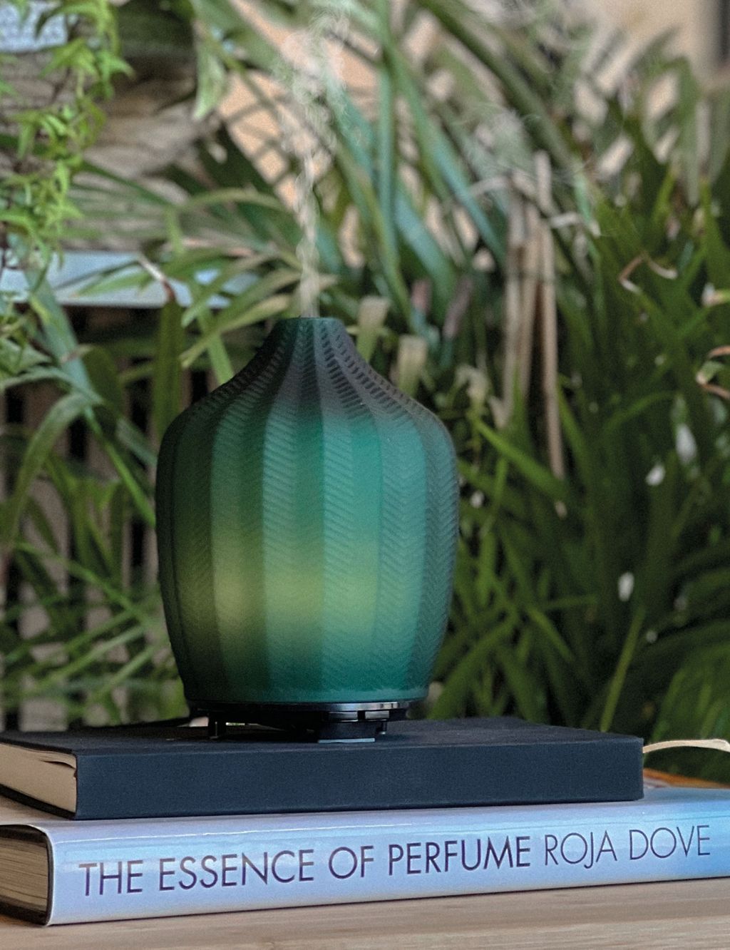 Fern Aroma Electric Diffuser 1 of 3