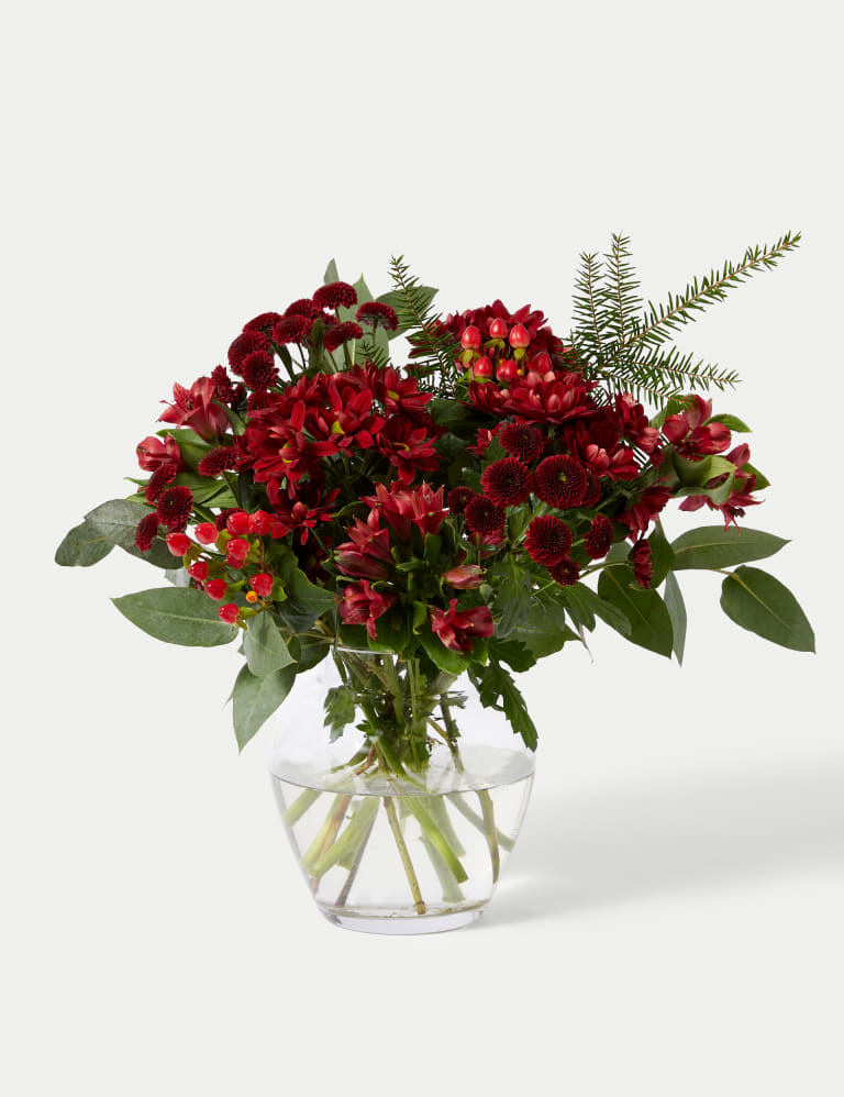 Red chrysanthemum deals
