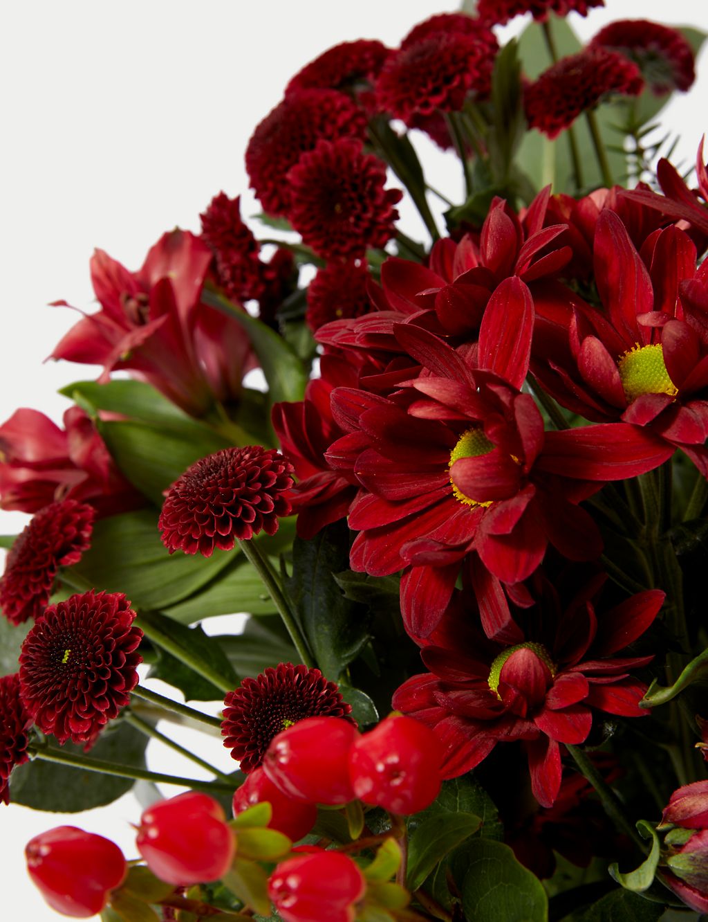 Festive Red Chrysanthemum & Alstroemeria Bouquet 4 of 5