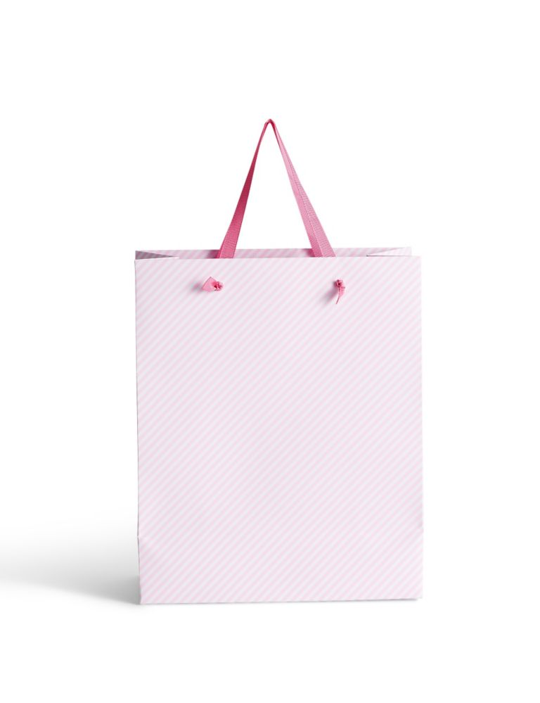 Floral & Candy Stripe Medium Gift Bag 2 of 2