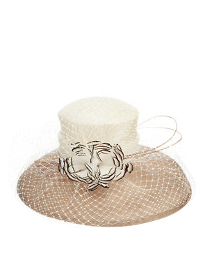 Floral Corsage Feather & Net Trilby Hat Image 2 of 4