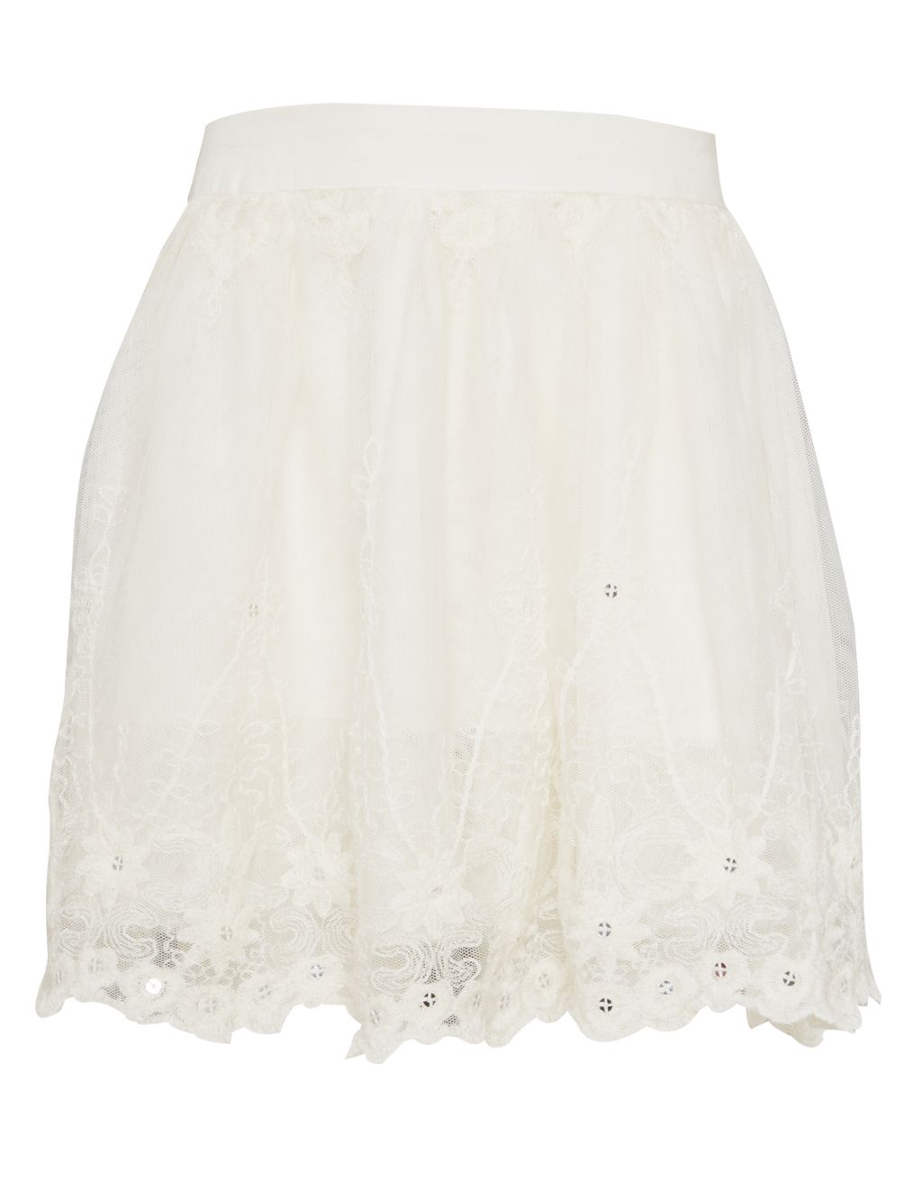 Floral Lace Embroidered Skirt 1 of 6
