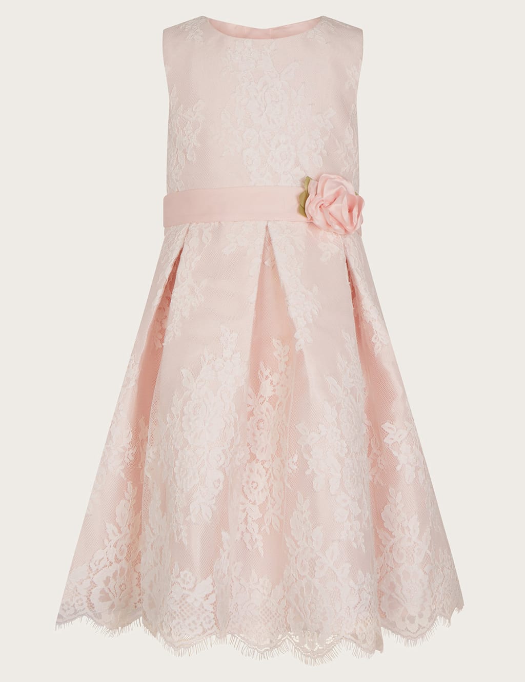 Floral Lace Occasion Dress Monsoon M S
