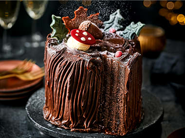 Chocolate yule log cake