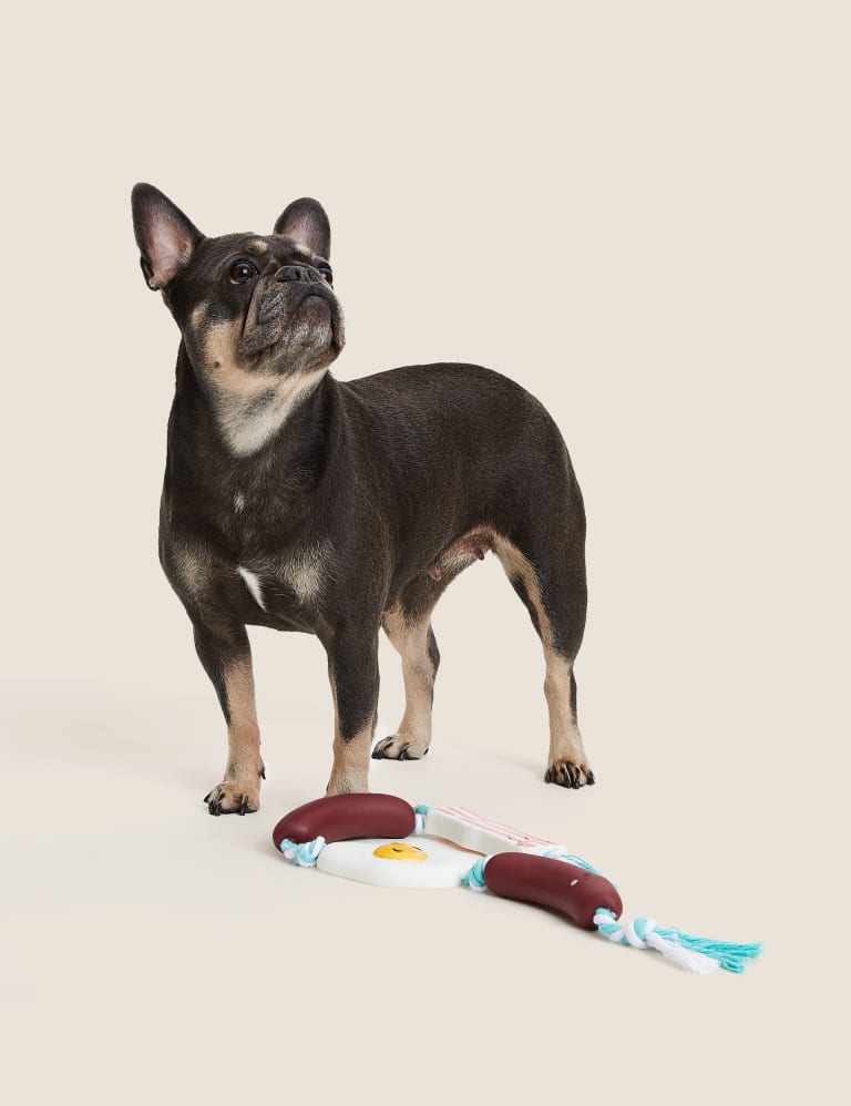 French fry dog hotsell toy