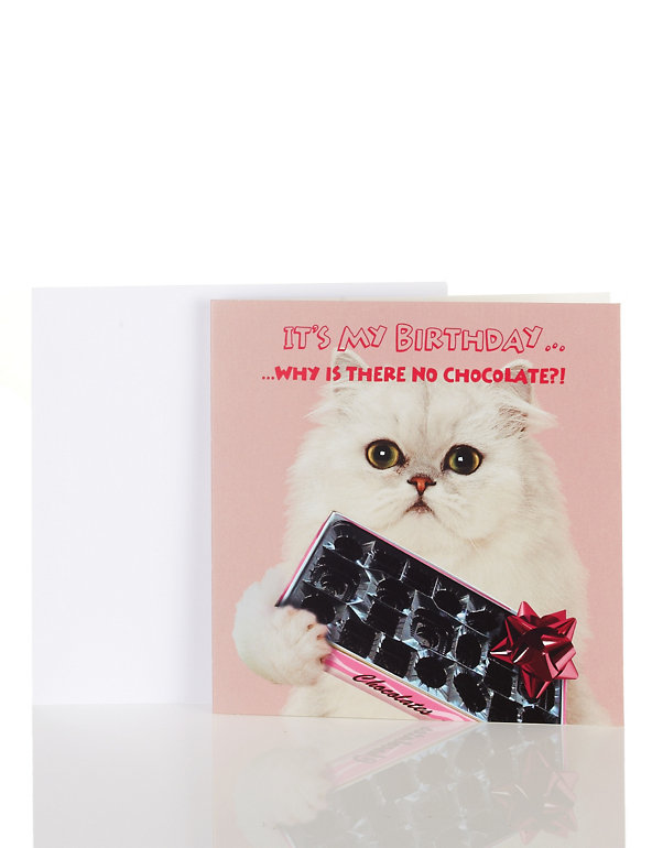 Fun Cat Birthday Card Image 1 of 2