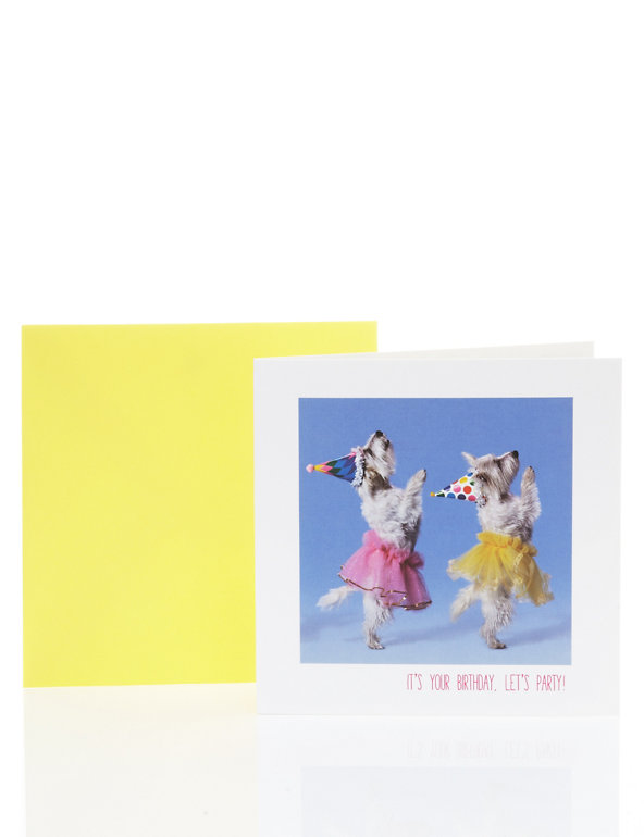 Fun Dancing Dogs Birthday Card Image 1 of 2