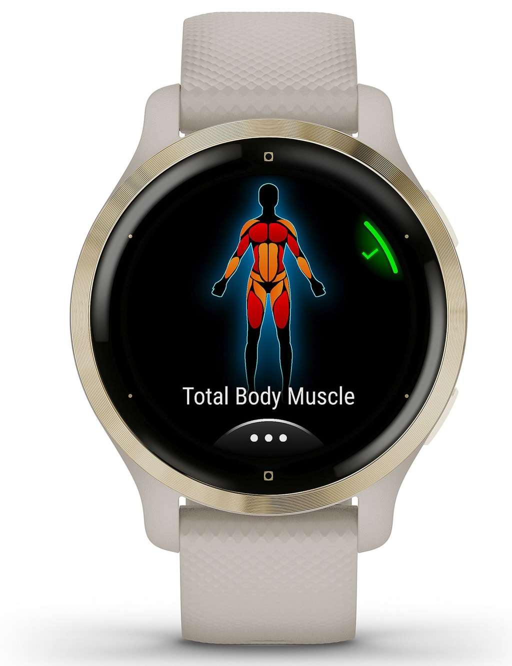 Garmin venu 2 expert Clearance