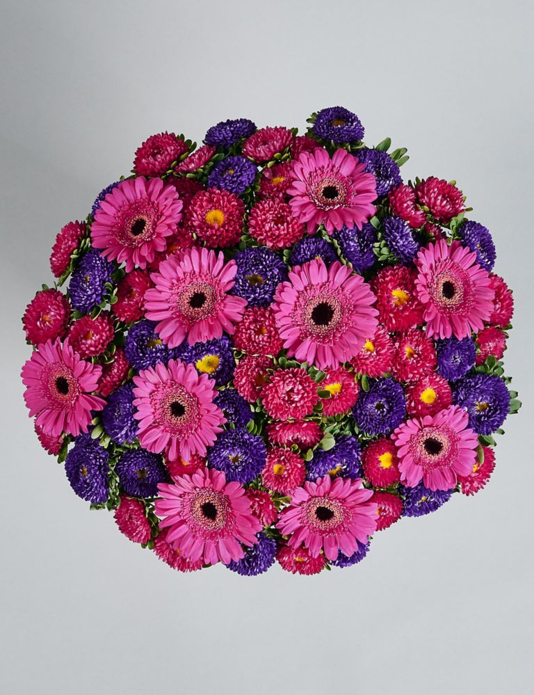 Germini & Aster Posey Bouquet 4 of 5