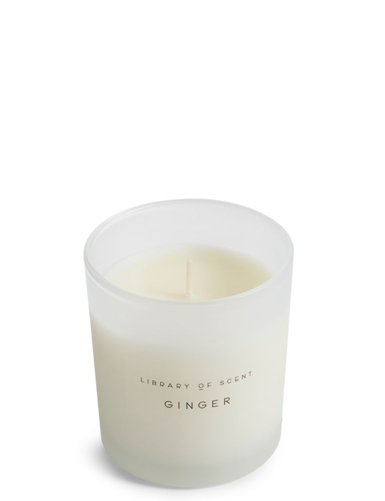 Ginger Cloche & Candle 4 of 6