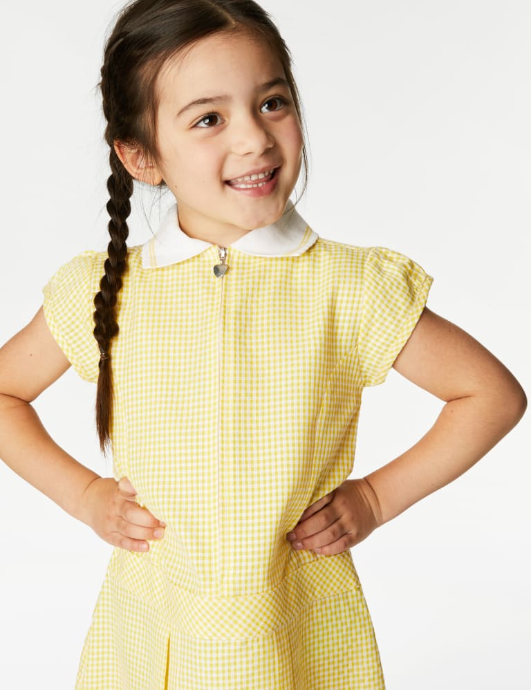 Girls' Gingham Pleated School Dress (2-14 Yrs) 3 of 5