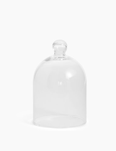 Glass Cloche 1 of 2