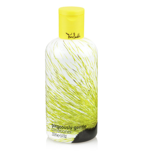 Gorgeously Gentle Conditioner 250ml Image 1 of 1