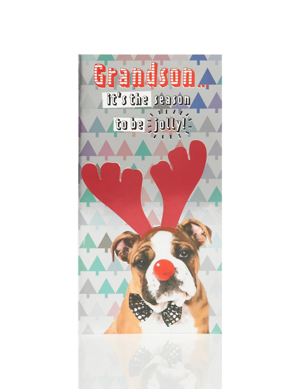 Grandson Novelty Dog Christmas Card Image 1 of 2