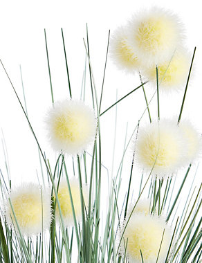 Grass & White Pom Pom in Pot Image 2 of 3