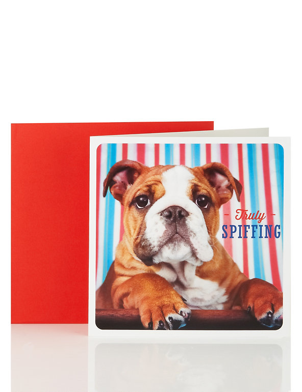 Great British Bulldog Truly Spiffing Card Image 1 of 1