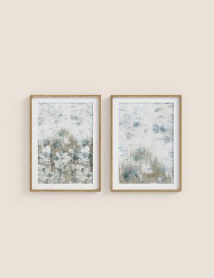 Set of 2 Blurred Floral Rectangle Framed Art