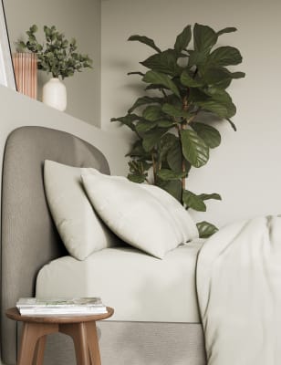 

M&S Collection Pack de 2 fundas de almohada de percal de algodón - Blanco Suave, Blanco Suave