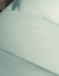 ملاءة سرير بحواف مطاطية من القطن الصافي بكثافة 300 خيط