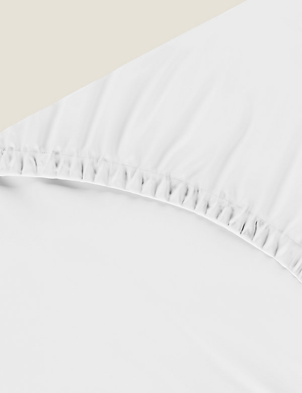 Pure Cotton 300 Thread Count Fitted Sheet - IT