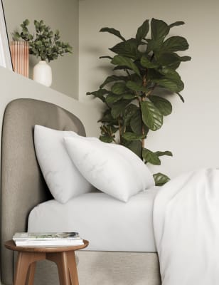 

M&S Collection Pack de 2 fundas de almohada 100% algodón de 300 hilos - Crema Claro, Crema Claro