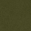 moss colour option
