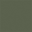 sage green colour option