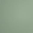 sage green colour option