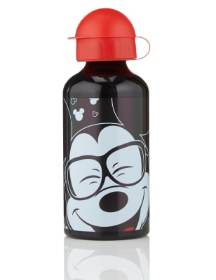 water bottle mickey mouse