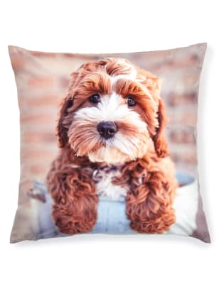 puppy cushions