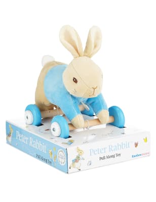 peter rabbit pull along