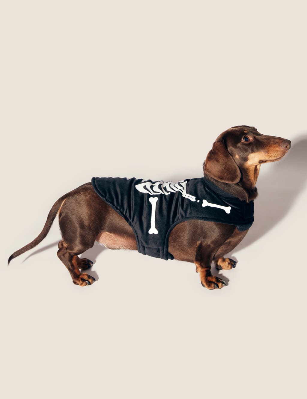 Blazers dog jersey top