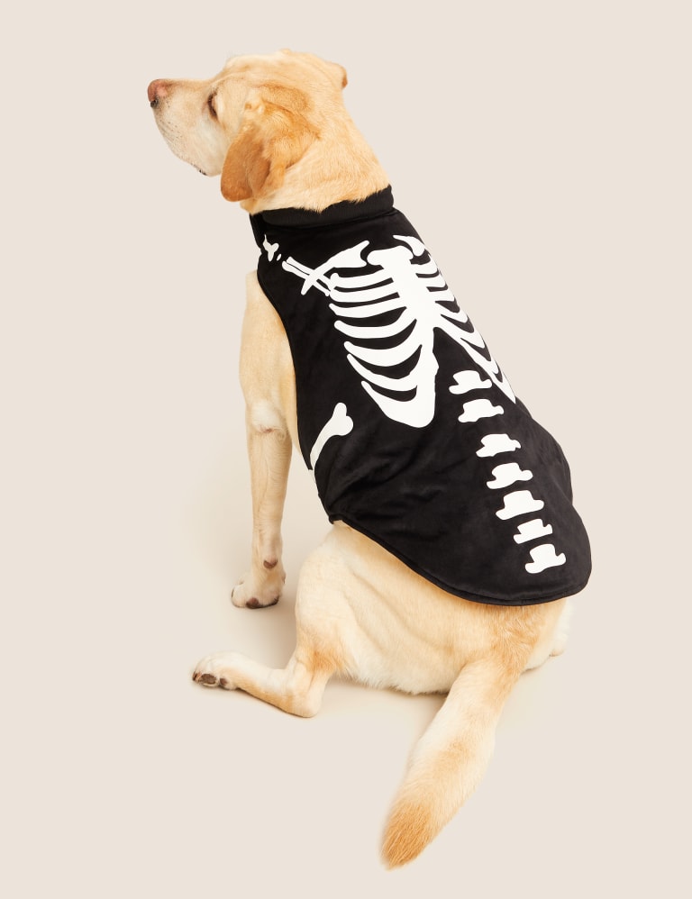 Halloween dog jumper cheap