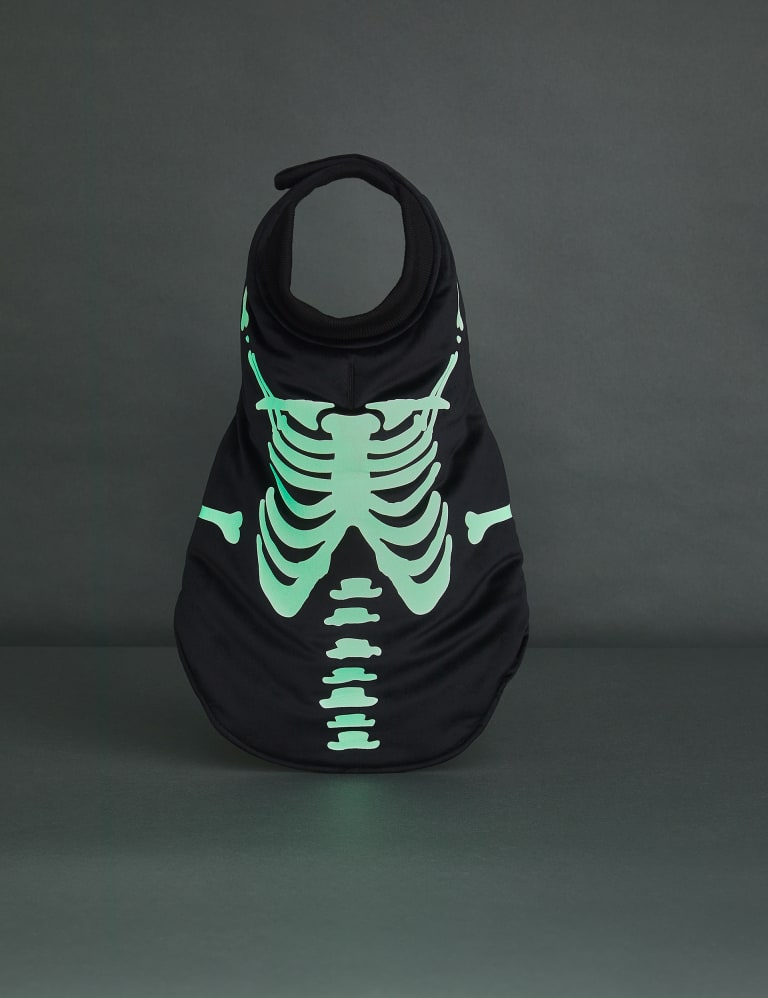 Glow in the dark pets 2025