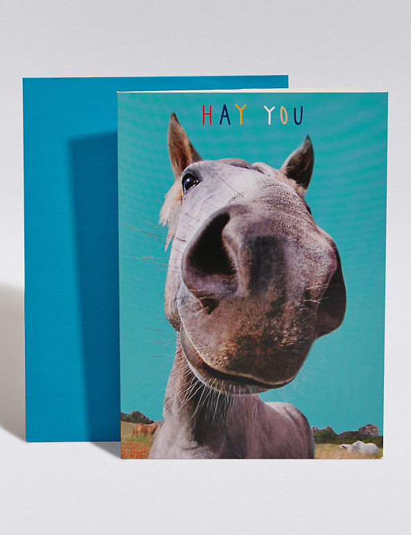 Hay You Horse Blank Card Image 1 of 1