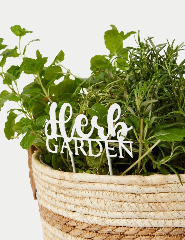 Herb Basket M&S